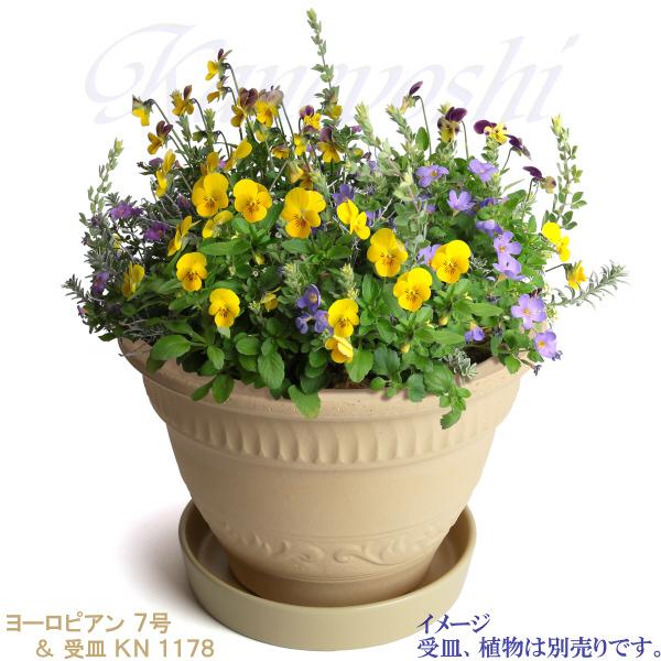 植木鉢 おしゃれ 安い 陶器 サイズ 22cm ヨーロピアン 7号 白焼 室内 屋外 白 色 |  | 11