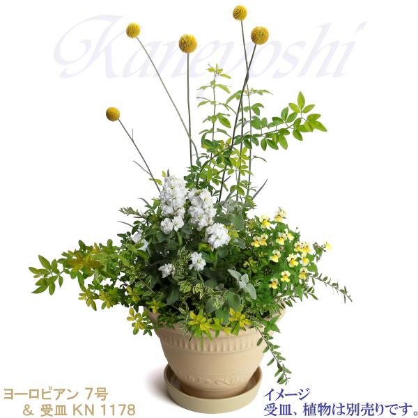 植木鉢 おしゃれ 安い 陶器 サイズ 22cm ヨーロピアン 7号 白焼 室内 屋外 白 色 |  | 13