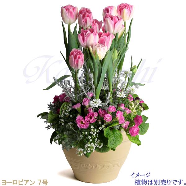 植木鉢 おしゃれ 安い 陶器 サイズ 22cm ヨーロピアン 7号 白焼 室内 屋外 白 色 |  | 08