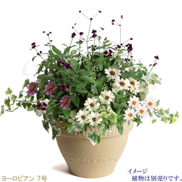 植木鉢 おしゃれ 安い 陶器 サイズ 22cm ヨーロピアン 7号 白焼 室内 屋外 白 色 |  | 09
