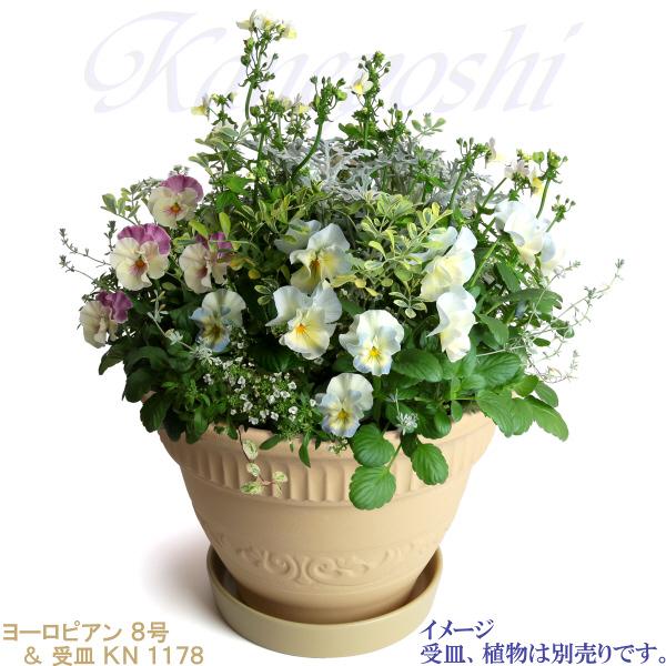 植木鉢 おしゃれ 安い 陶器 サイズ 25cm ヨーロピアン 8号 白焼 室内 屋外 白 色 |  | 11