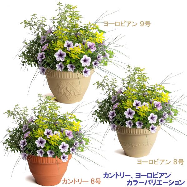 植木鉢 おしゃれ 安い 陶器 サイズ 25cm ヨーロピアン 8号 白焼 室内 屋外 白 色 |  | 14