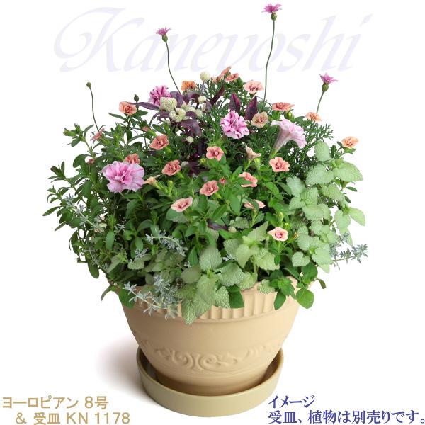 植木鉢 おしゃれ 安い 陶器 サイズ 25cm ヨーロピアン 8号 白焼 室内 屋外 白 色 |  | 12
