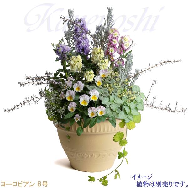 植木鉢 おしゃれ 安い 陶器 サイズ 25cm ヨーロピアン 8号 白焼 室内 屋外 白 色 |  | 08