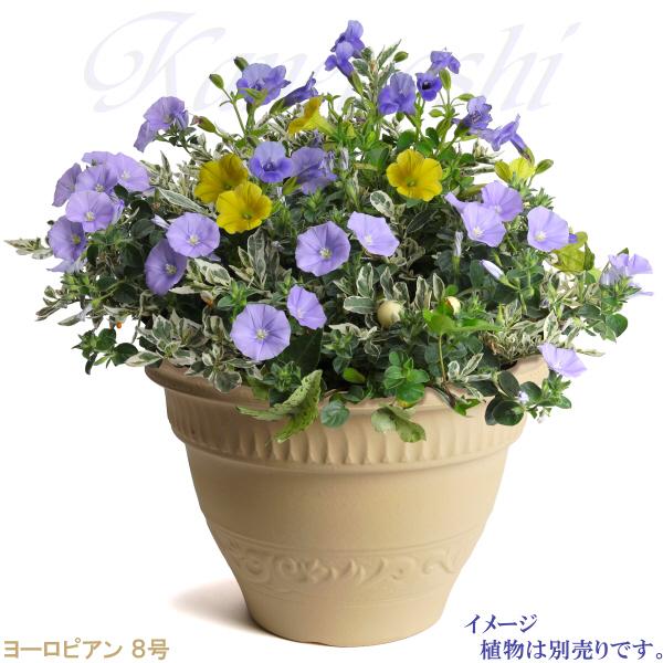 植木鉢 おしゃれ 安い 陶器 サイズ 25cm ヨーロピアン 8号 白焼 室内 屋外 白 色 |  | 09