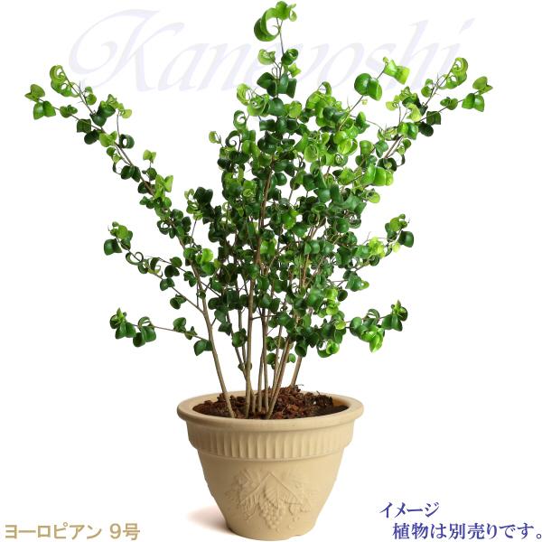 植木鉢 おしゃれ 安い 陶器 サイズ 28cm ヨーロピアン 9号 白焼 室内 屋外 白 色 |  | 09