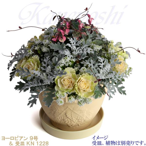 植木鉢 おしゃれ 安い 陶器 サイズ 28cm ヨーロピアン 9号 白焼 室内 屋外 白 色 |  | 10