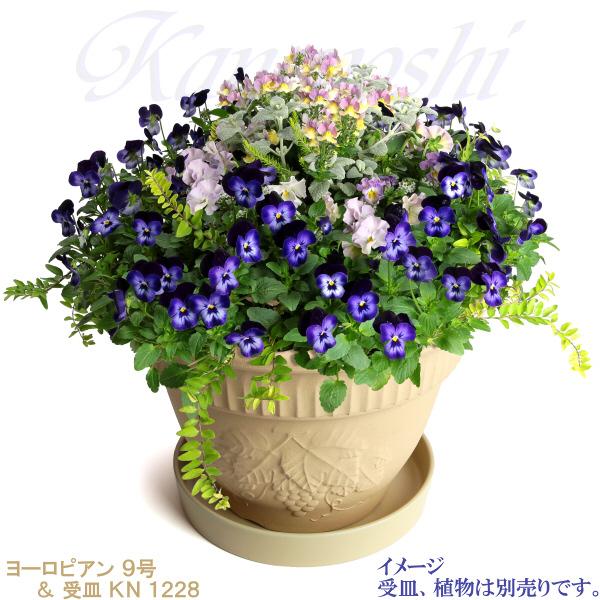 植木鉢 おしゃれ 安い 陶器 サイズ 28cm ヨーロピアン 9号 白焼 室内 屋外 白 色 |  | 11