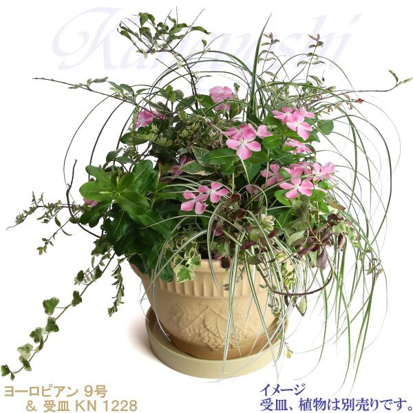 植木鉢 おしゃれ 安い 陶器 サイズ 28cm ヨーロピアン 9号 白焼 室内 屋外 白 色 |  | 12