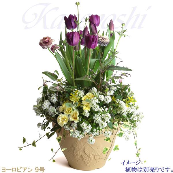 植木鉢 おしゃれ 安い 陶器 サイズ 28cm ヨーロピアン 9号 白焼 室内 屋外 白 色 |  | 07