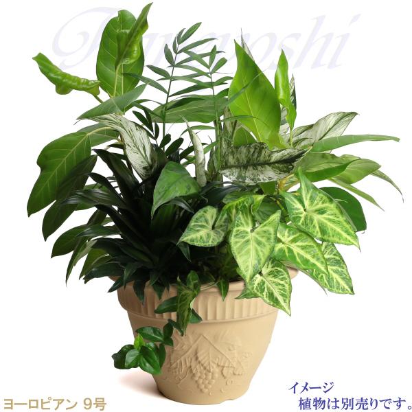 植木鉢 おしゃれ 安い 陶器 サイズ 28cm ヨーロピアン 9号 白焼 室内 屋外 白 色 |  | 08