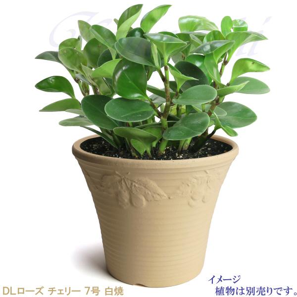 DLローズ チェリー 白焼 7号 日本製 植木鉢 陶器 おしゃれ ベージュ サイズ 23cm ガーデニング おしゃれ ナチュラル 安い シンプル |  | 07