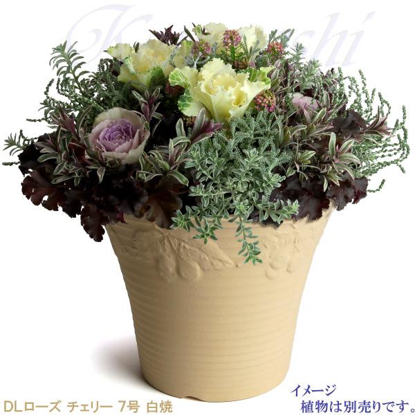 DLローズ チェリー 白焼 7号 日本製 植木鉢 陶器 おしゃれ ベージュ サイズ 23cm ガーデニング おしゃれ ナチュラル 安い シンプル |  | 09