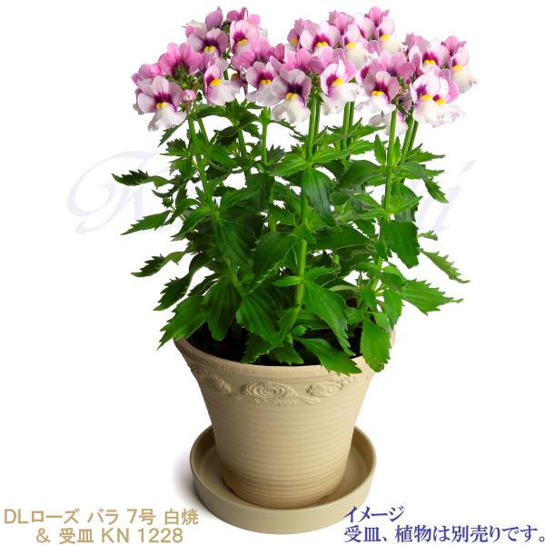 植木鉢 おしゃれ 安い 陶器 サイズ 23cm DLローズ 薔薇 7号 白焼 室内 屋外 白 色｜docchan｜12