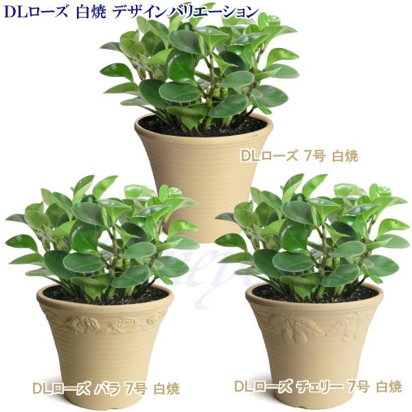 植木鉢 おしゃれ 安い 陶器 サイズ 23cm DLローズ 薔薇 7号 白焼 室内 屋外 白 色｜docchan｜14