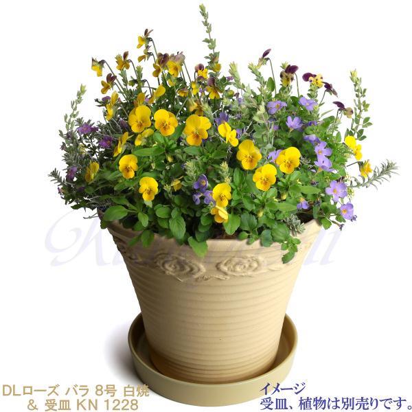 植木鉢 おしゃれ 安い 陶器 サイズ 26cm DLローズ 薔薇 8号 白焼 室内 屋外 白 色 |  | 12