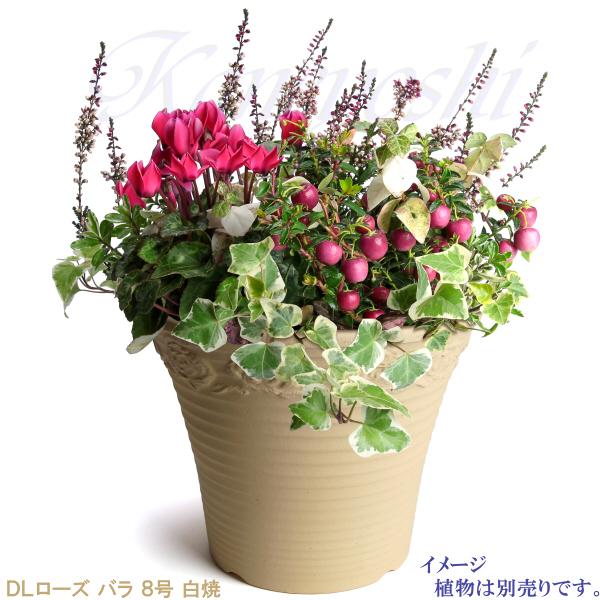 植木鉢 おしゃれ 安い 陶器 サイズ 26cm DLローズ 薔薇 8号 白焼 室内 屋外 白 色 |  | 07