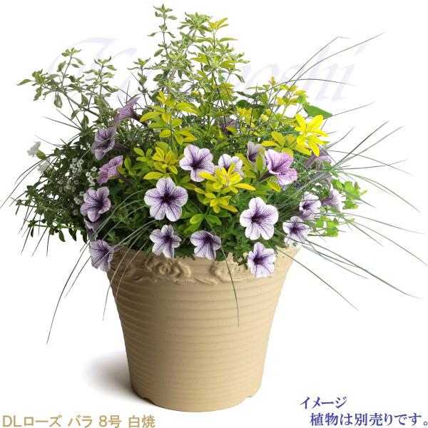 植木鉢 おしゃれ 安い 陶器 サイズ 26cm DLローズ 薔薇 8号 白焼 室内 屋外 白 色 |  | 09