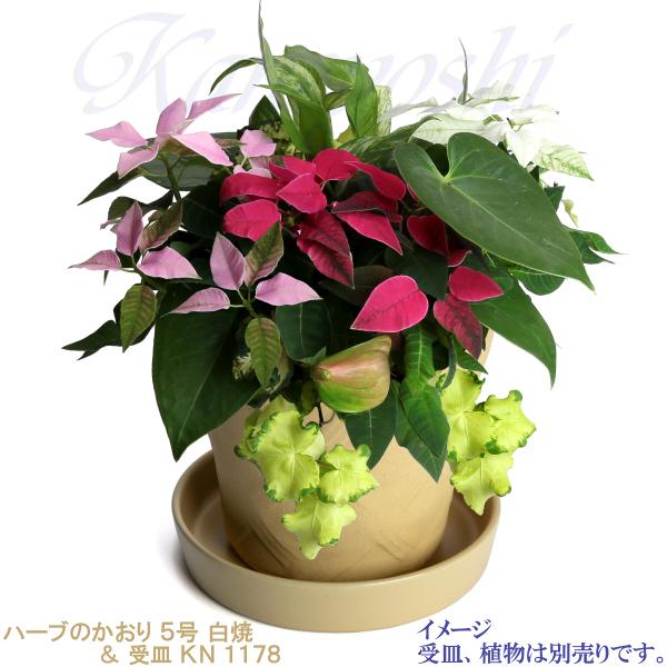 植木鉢 おしゃれ 安い 陶器 サイズ 15cm ハーブのかおり 5号 白焼 室内 屋外 白 色 |  | 10