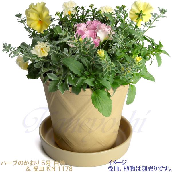 植木鉢 おしゃれ 安い 陶器 サイズ 15cm ハーブのかおり 5号 白焼 室内 屋外 白 色 |  | 11