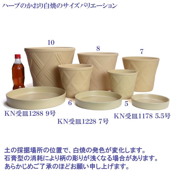 植木鉢 おしゃれ 安い 陶器 サイズ 15cm ハーブのかおり 5号 白焼 室内 屋外 白 色 |  | 20