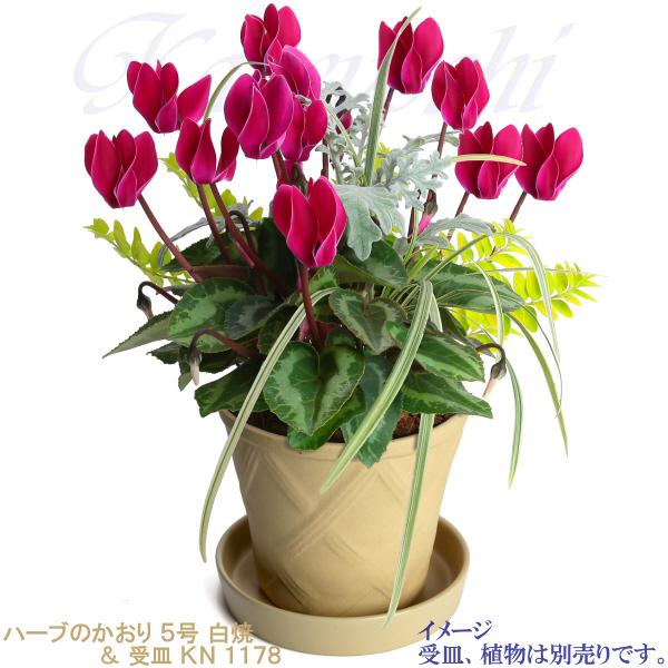 植木鉢 おしゃれ 安い 陶器 サイズ 15cm ハーブのかおり 5号 白焼 室内 屋外 白 色 |  | 09