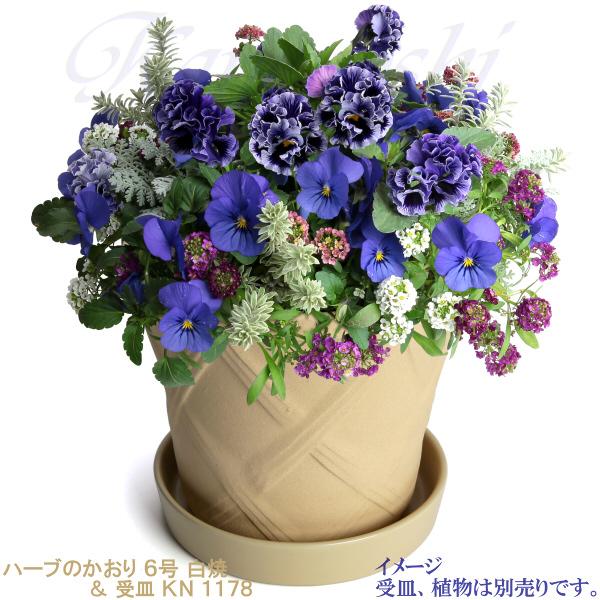 植木鉢 おしゃれ 安い 陶器 サイズ 19cm ハーブのかおり 6号 白焼 室内 屋外 白 色 |  | 08