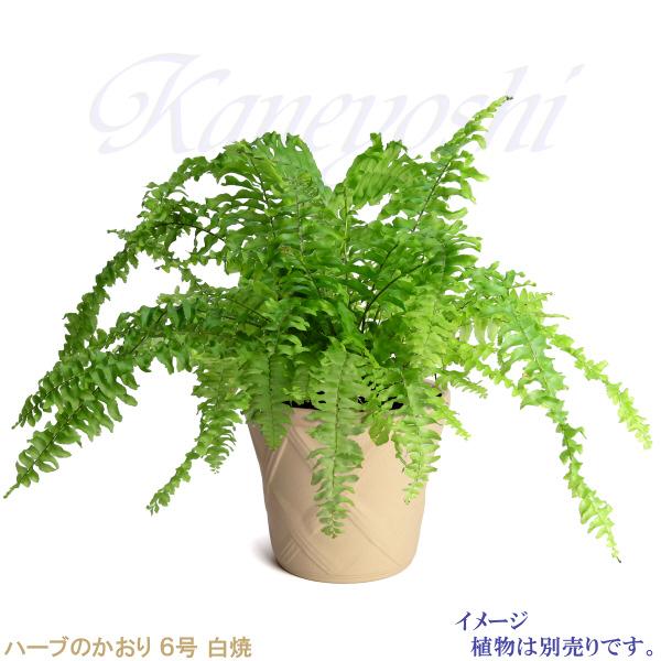 植木鉢 おしゃれ 安い 陶器 サイズ 19cm ハーブのかおり 6号 白焼 室内 屋外 白 色 |  | 05