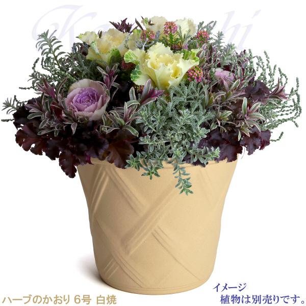 植木鉢 おしゃれ 安い 陶器 サイズ 19cm ハーブのかおり 6号 白焼 室内 屋外 白 色 |  | 07