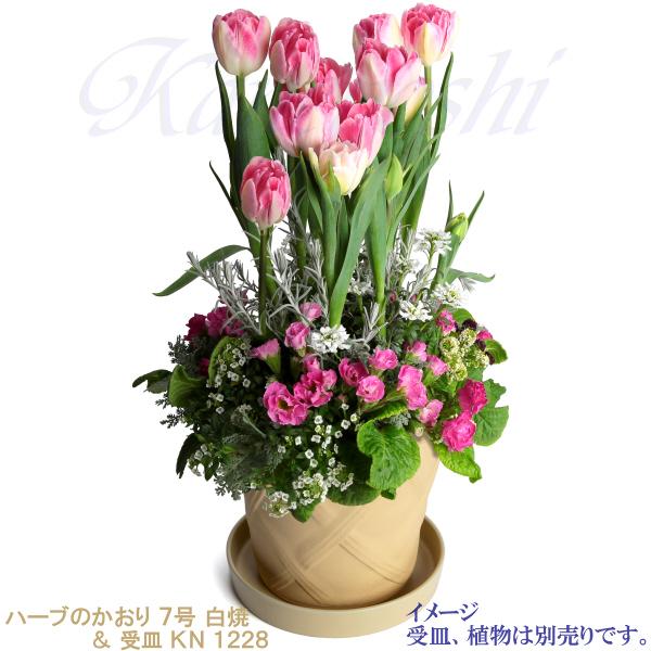 植木鉢 おしゃれ 安い 陶器 サイズ 23cm ハーブのかおり 7号 白焼 室内 屋外 白 色 |  | 10