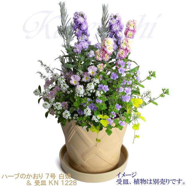 植木鉢 おしゃれ 安い 陶器 サイズ 23cm ハーブのかおり 7号 白焼 室内 屋外 白 色 |  | 11