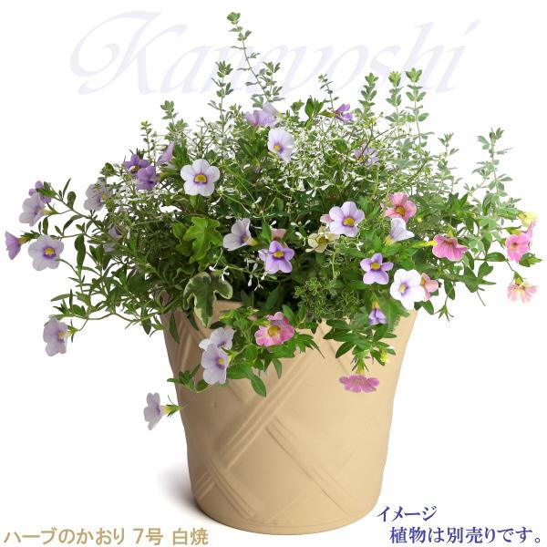 植木鉢 おしゃれ 安い 陶器 サイズ 23cm ハーブのかおり 7号 白焼 室内 屋外 白 色 |  | 07