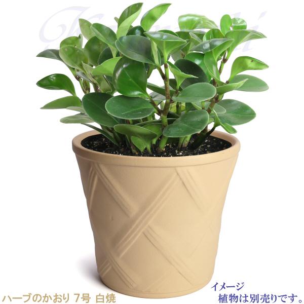 植木鉢 おしゃれ 安い 陶器 サイズ 23cm ハーブのかおり 7号 白焼 室内 屋外 白 色 |  | 08