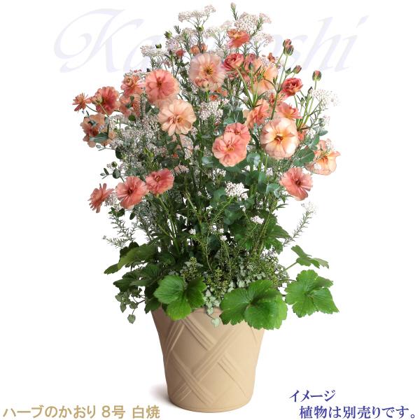 植木鉢 おしゃれ 安い 陶器 サイズ 25cm ハーブのかおり 8号 白焼 室内 屋外 白 色 |  | 09