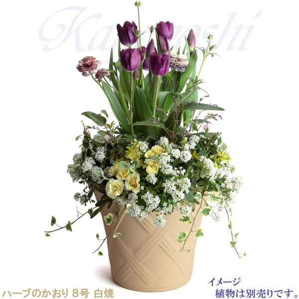 植木鉢 おしゃれ 安い 陶器 サイズ 25cm ハーブのかおり 8号 白焼 室内 屋外 白 色 |  | 08