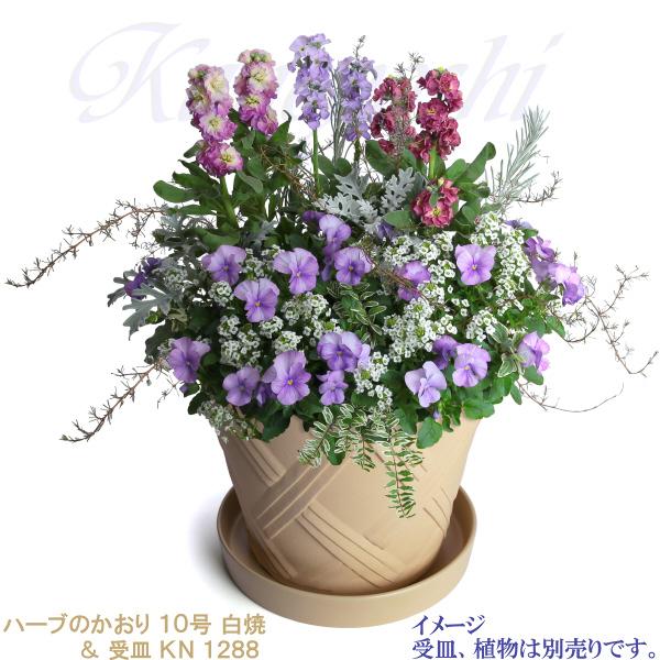 植木鉢 おしゃれ 安い 陶器 サイズ 31cm ハーブのかおり 10号 白焼 室内 屋外 白 色 |  | 12