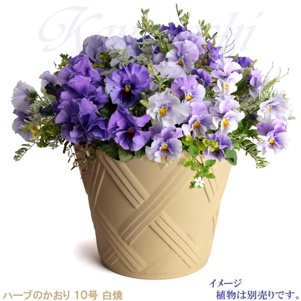 植木鉢 おしゃれ 安い 陶器 サイズ 31cm ハーブのかおり 10号 白焼 室内 屋外 白 色 |  | 07