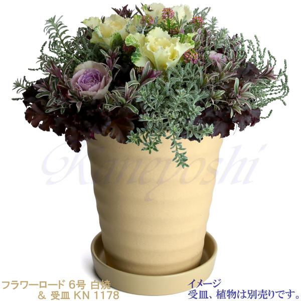 植木鉢 おしゃれ 安い 陶器 サイズ 19cm フラワーロード 6号 白焼 室内 屋外 白 色 |  | 10