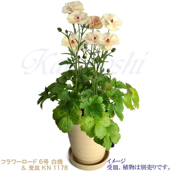 植木鉢 おしゃれ 安い 陶器 サイズ 19cm フラワーロード 6号 白焼 室内 屋外 白 色 |  | 12