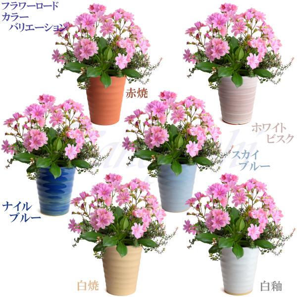 植木鉢 おしゃれ 安い 陶器 サイズ 19cm フラワーロード 6号 白焼 室内 屋外 白 色 |  | 14