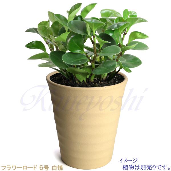 植木鉢 おしゃれ 安い 陶器 サイズ 19cm フラワーロード 6号 白焼 室内 屋外 白 色 |  | 08