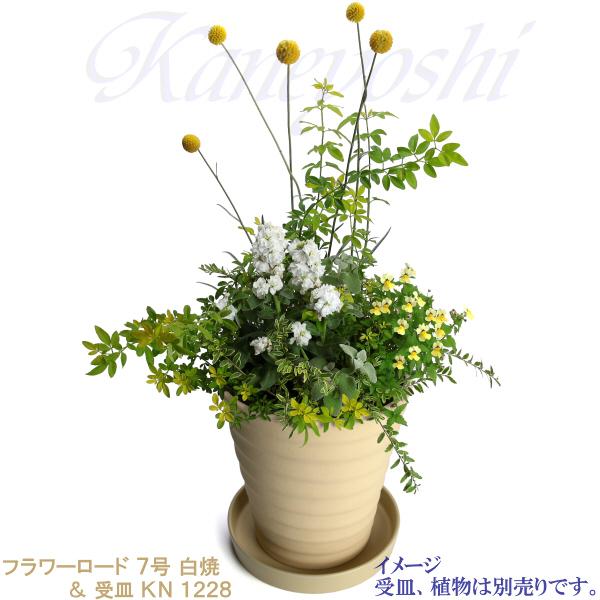 植木鉢 おしゃれ 安い 陶器 サイズ 22cm フラワーロード 7号 白焼 室内 屋外 白 色 |  | 11