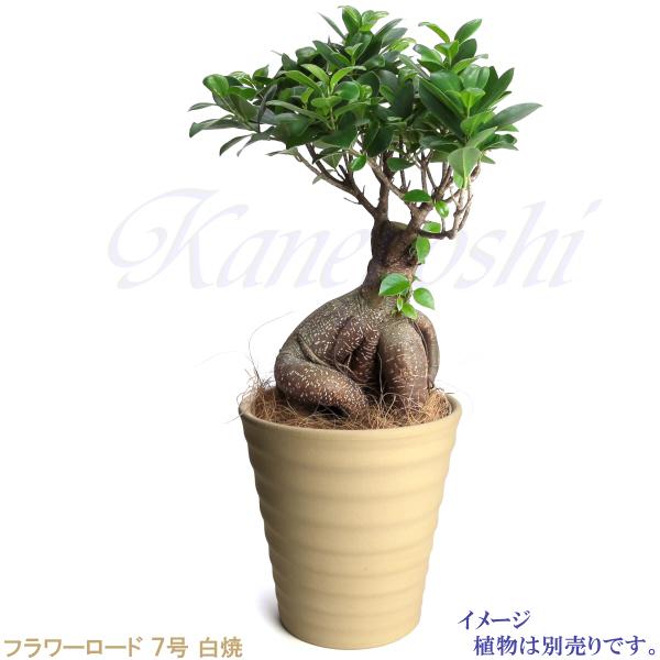 植木鉢 おしゃれ 安い 陶器 サイズ 22cm フラワーロード 7号 白焼 室内 屋外 白 色 |  | 07