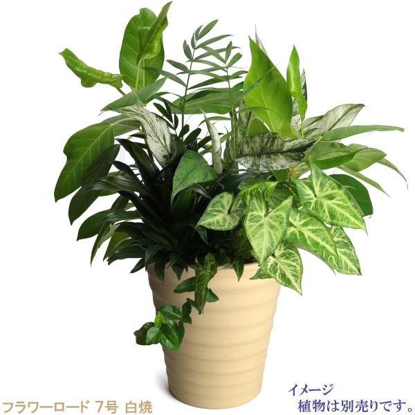 植木鉢 おしゃれ 安い 陶器 サイズ 22cm フラワーロード 7号 白焼 室内 屋外 白 色 |  | 08