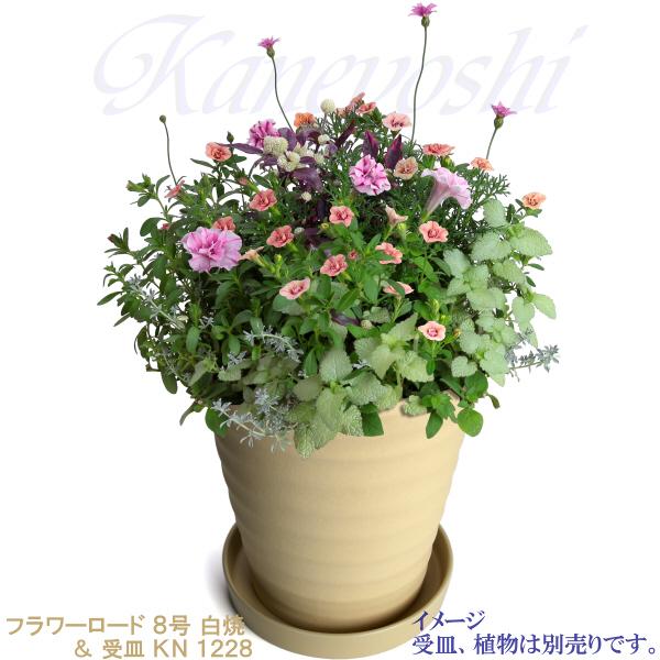 植木鉢 おしゃれ 安い 陶器 サイズ 24cm フラワーロード 8号 白焼 室内 屋外 白 色 |  | 12