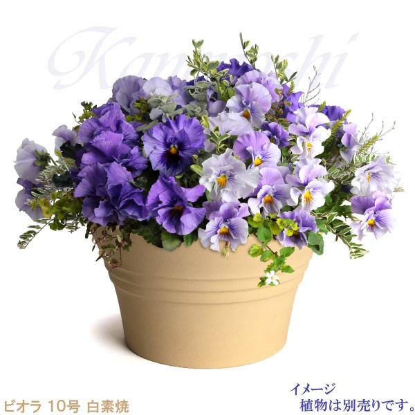 植木鉢 おしゃれ 安い 陶器 サイズ 31cm ビオラ 10号 白素焼 室内 屋外 白 色 |  | 05