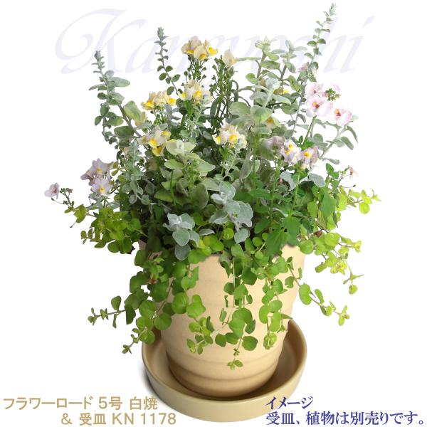 植木鉢 おしゃれ 安い 陶器 サイズ 16cm フラワーロード 5号 白焼 室内 屋外 白 色 |  | 11