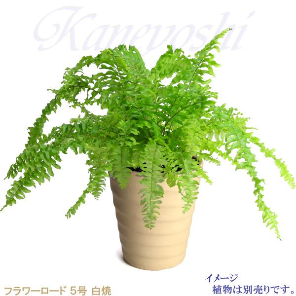 植木鉢 おしゃれ 安い 陶器 サイズ 16cm フラワーロード 5号 白焼 室内 屋外 白 色 |  | 07