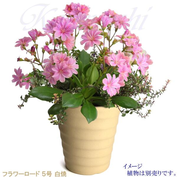 植木鉢 おしゃれ 安い 陶器 サイズ 16cm フラワーロード 5号 白焼 室内 屋外 白 色 |  | 08