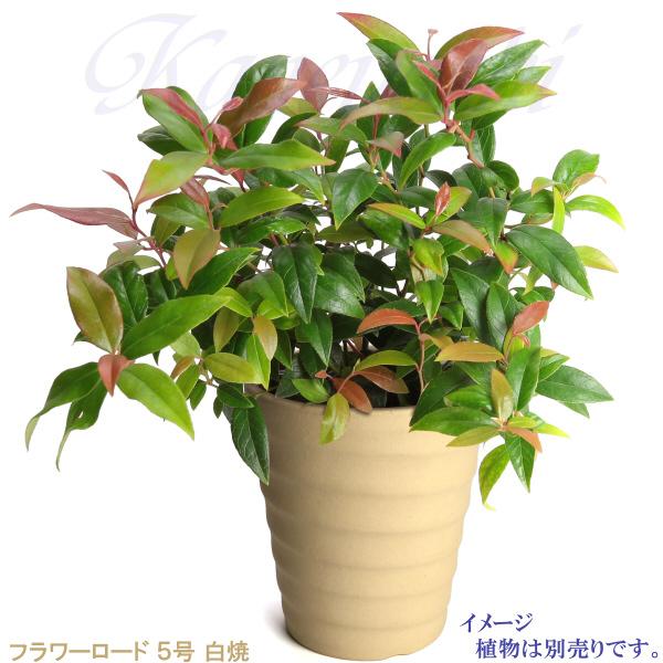 植木鉢 おしゃれ 安い 陶器 サイズ 16cm フラワーロード 5号 白焼 室内 屋外 白 色 |  | 09